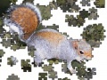 Jeu Jigsaw: Posing Squirrel