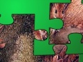 Jeu Animal Puzzle