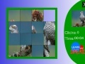 Jeu Japanese Sparrowhawk slide puzzle