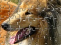 Jeu Pet Puzzles: Dogs