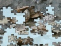 Jeu Turtle puzzle