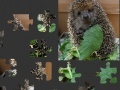 Jeu Hedgehog Puzzle 