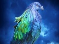 Jeu Lovely blue bird slide puzzle