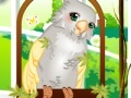 Jeu Cute parrot dress up