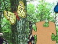 Jeu 3D Real Puzzle butterfly