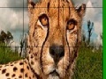 Jeu Big head cheetah slide puzzle