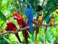 Jeu Zoo Hidden Objects 