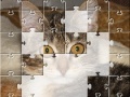 Jeu Jigsaw: The Kitten