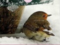 Jeu Little Bird And Snow Puzzle 