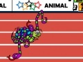 Jeu Animal Olympics - Hurdles