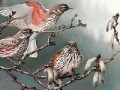 Jeu Birds on a tree slide puzzle