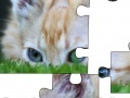 Jeu Jigsaw: Cat Hiding