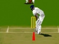 Jeu Virtual cricket