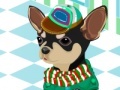 Jeu Pick up the suit for Chihuahua