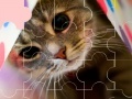 Jeu Cat really cute 3 puzzle