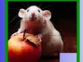 Jeu Puzzle: Apple and Mouse