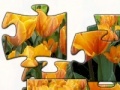 Jeu Tulip 2 jigsaw puzzle 
