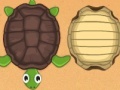 Game Guess the turtle