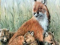 Jeu Fox family in the nature puzzle