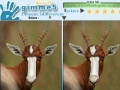 Jeu Gimme 5 Wildlife