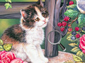 Jeu Hidden Numbers Cat