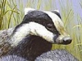 Jeu Three polecat puzzle