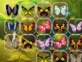 Jeu Batterfly Connect