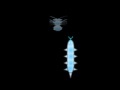 Jeu Cyber Worm 