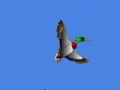 Jeu I just seen a duck 