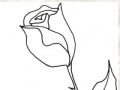 Jeu How to Draw a Rose