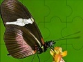 Jeu Fantastic butterfly puzzle
