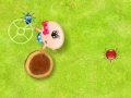 Jeu Catch the Insects