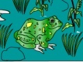 Jeu Frog Coloring