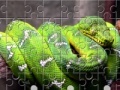 Jeu Green Snake