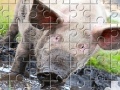 Jeu Little Piggy Jigsaw