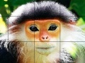 Jeu Elderly monkey slide puzzle