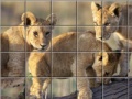 Jeu Swing and set african cats