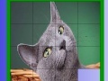 Jeu Grizzle cat slide puzzle