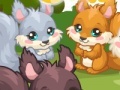 Jeu Squirrel Care