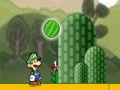 Jeu Mario and Luigi