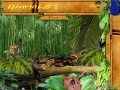 Jeu Zojas adventure 