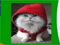 Jeu Hooded cat slide puzzle
