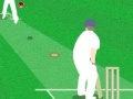 Jeu World Cricket Challenge