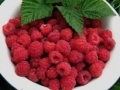 Jeu Raspberry puzzle 