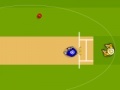 Jeu Cricket World Cup 2011