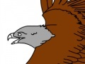 Jeu Birds Coloring Book