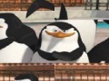 Jeu Penguin: Photo Puzzle