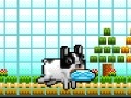 Jeu Bongo Park