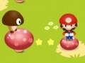 Jeu Mario Rescue Peach
