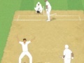 Game Cricket Umpire Decision